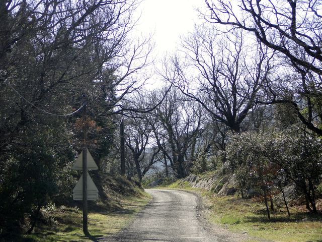 Traumstraßen