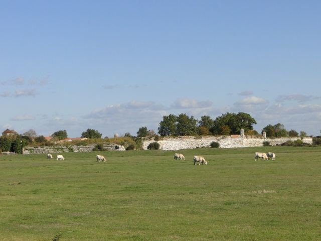 Reiseschutz