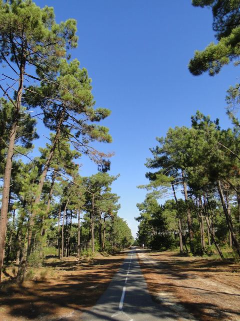 Kurische Nehrung