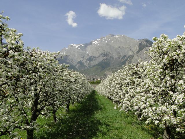„Besondere“ Campingplätze