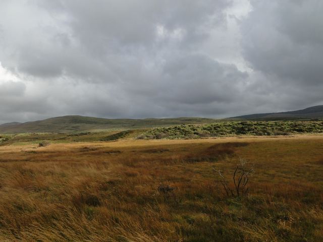 Irland lässt uns nicht so einfach los
