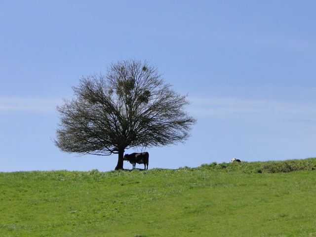 „Alpisch“ schön