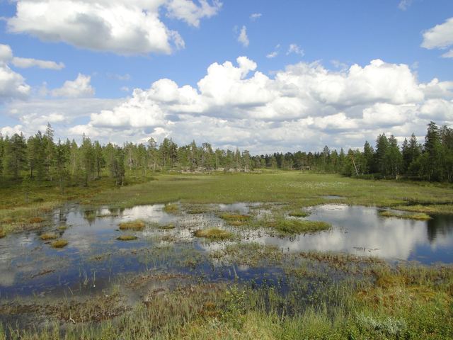 Mitternachtssonne