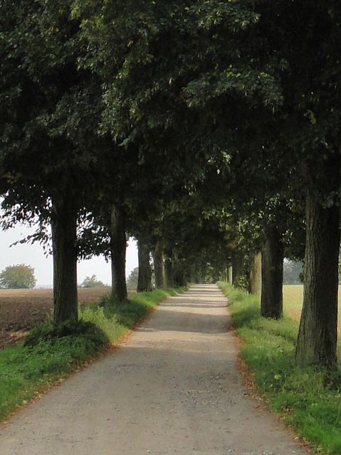 Holsteinische Schweiz