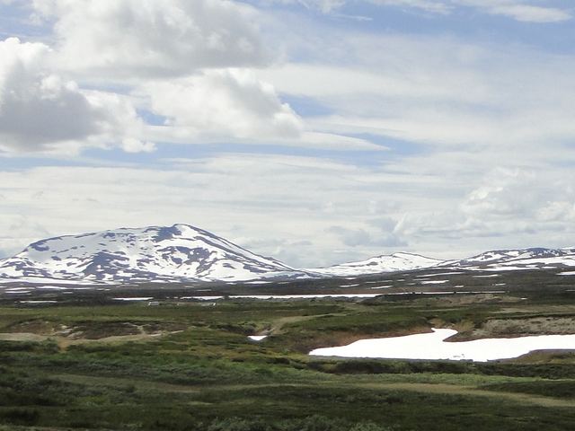 Tundra