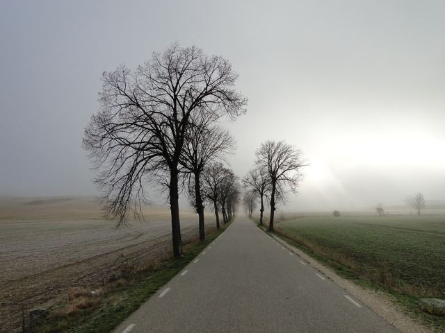 Auf den Spuren von Hape